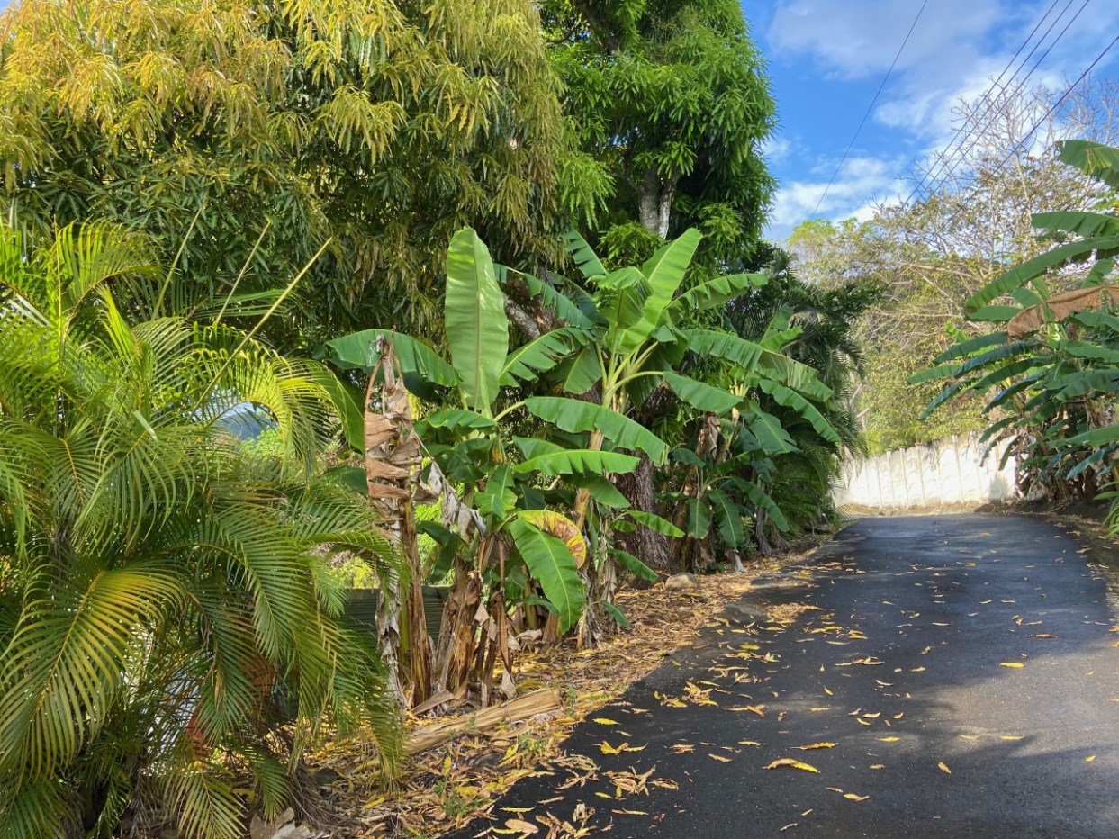 Building Lots for sale in Atenas Costa Rica