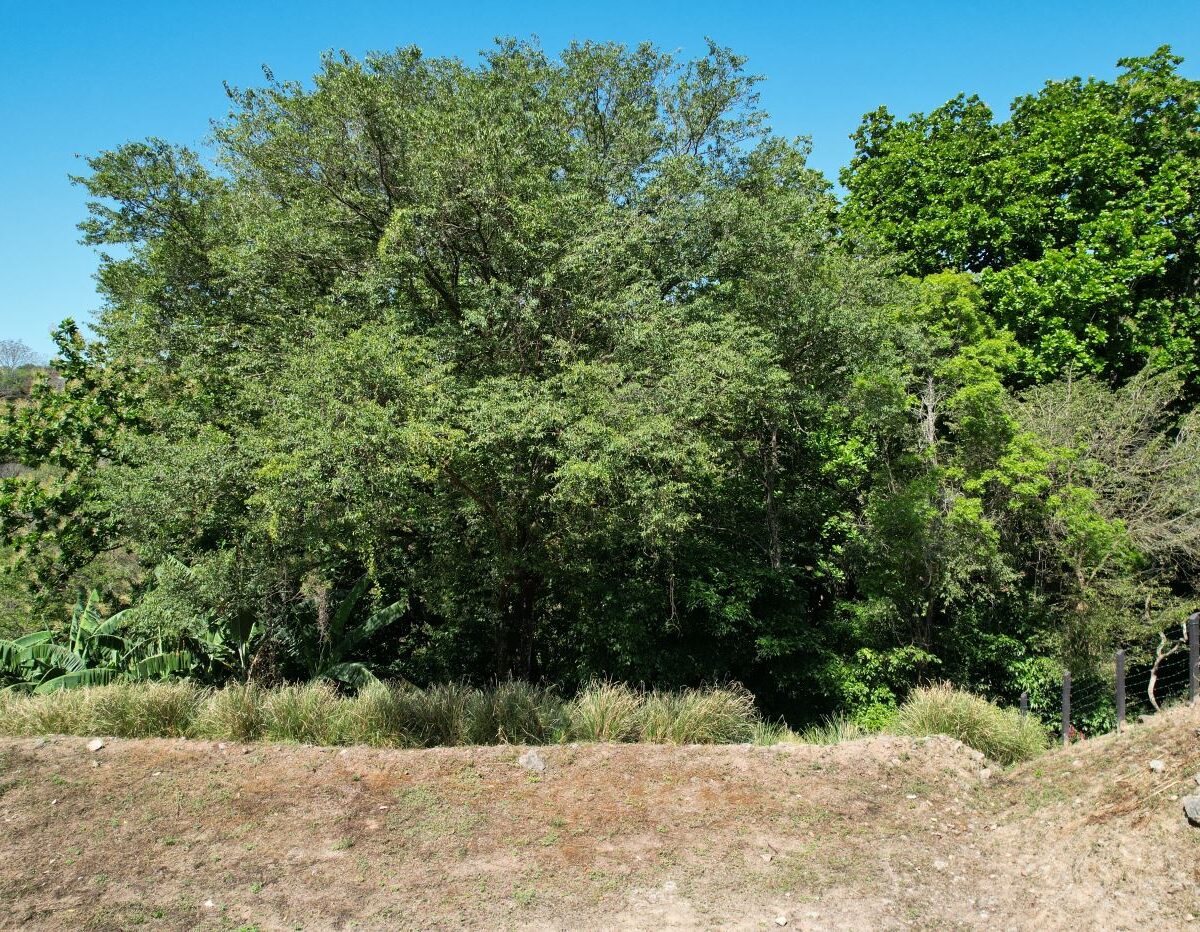 Building Lots for sale in Atenas Costa Rica