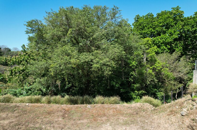 Building Lots for sale in Atenas Costa Rica