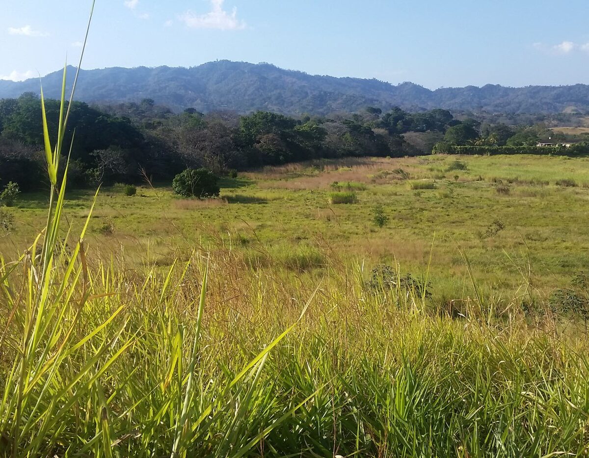 Building Lots for sale in Atenas Costa Rica