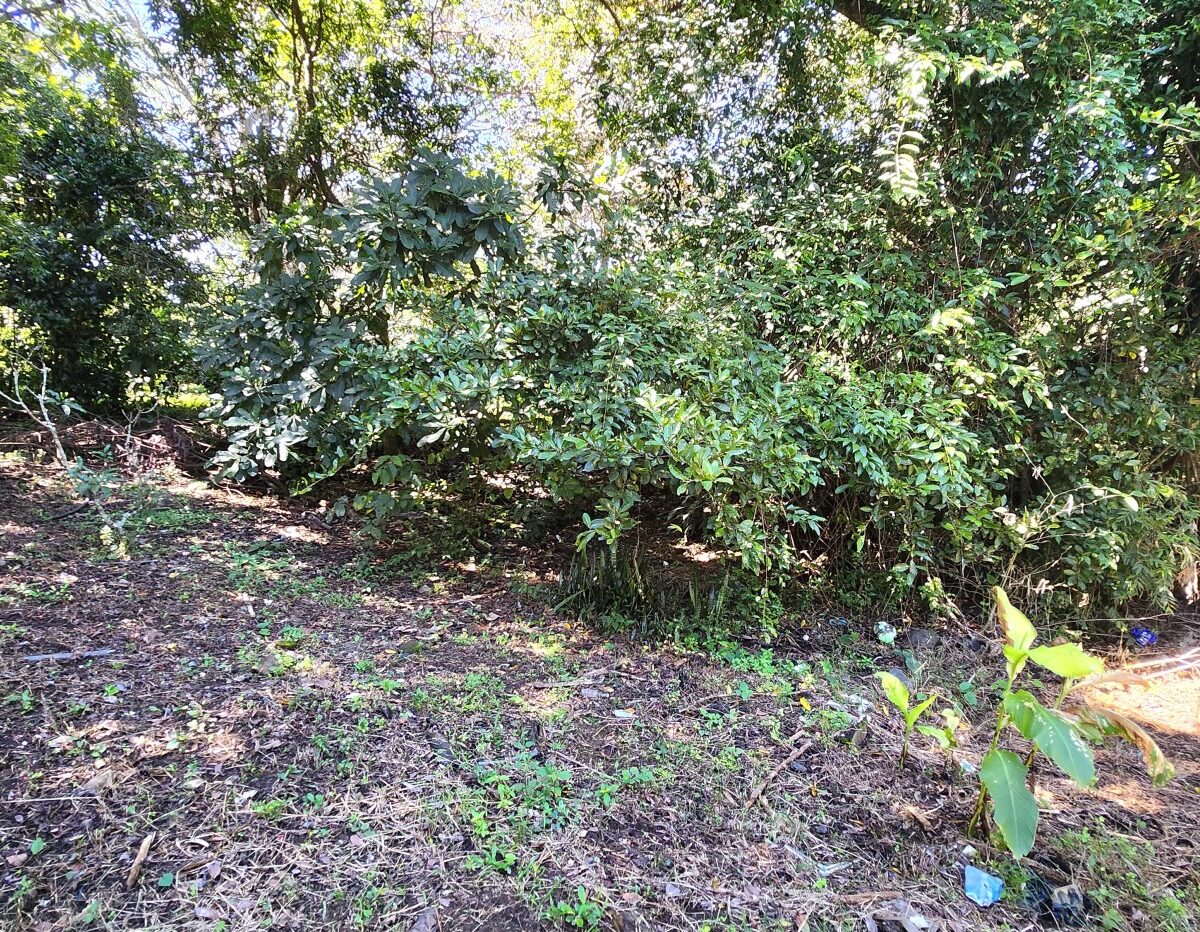 Building Lots for sale in Atenas Costa Rica