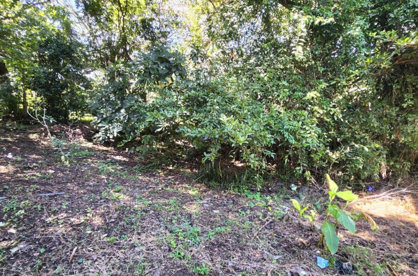 Building Lots for sale in Atenas Costa Rica