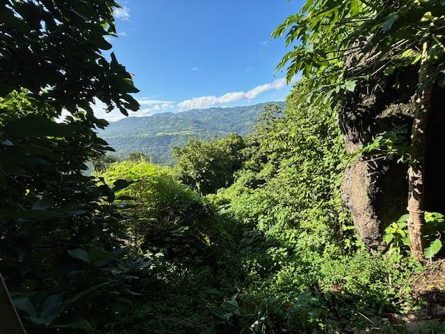 Homes for sale in Atenas Costa Rica