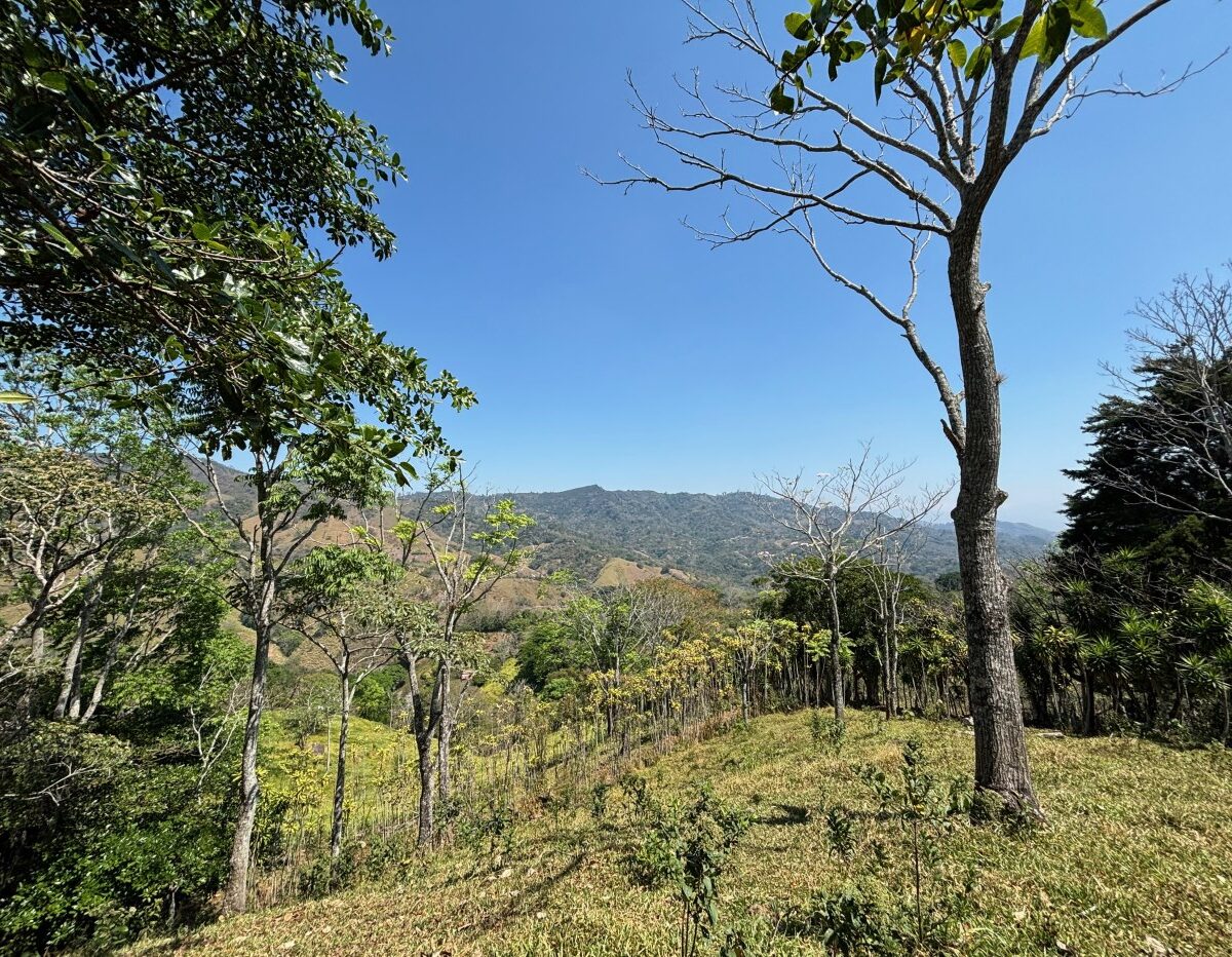 Building Lots for sale in Atenas Costa Rica