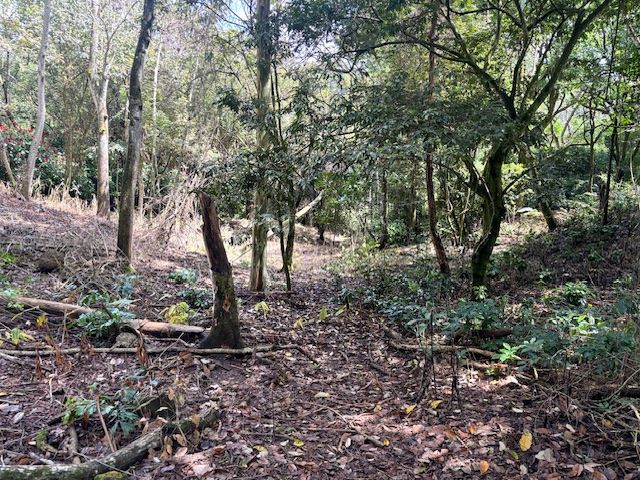 Building Lots for sale in Atenas Costa Rica