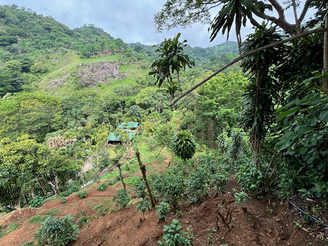 Homes for sale in Atenas Costa Rica