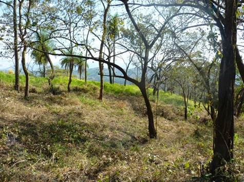 Building Lots for sale in Atenas Costa Rica