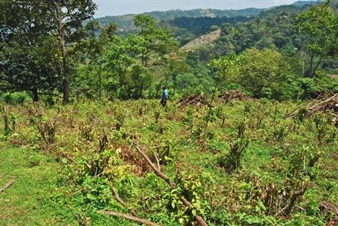 Building Lots for sale in Atenas Costa Rica