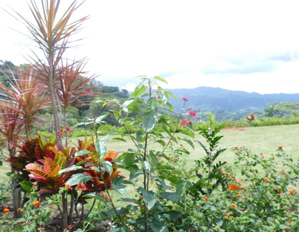 Homes for sale in Atenas Costa Rica
