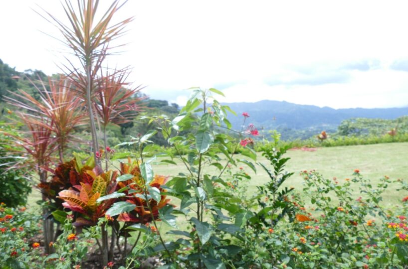Homes for sale in Atenas Costa Rica