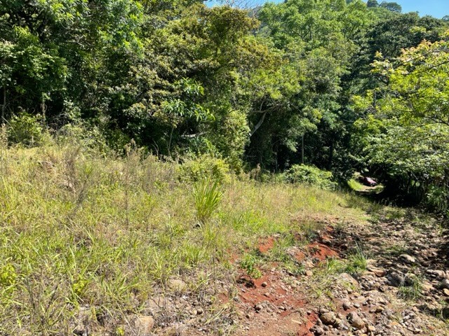 Building Lots for sale in Atenas Costa Rica