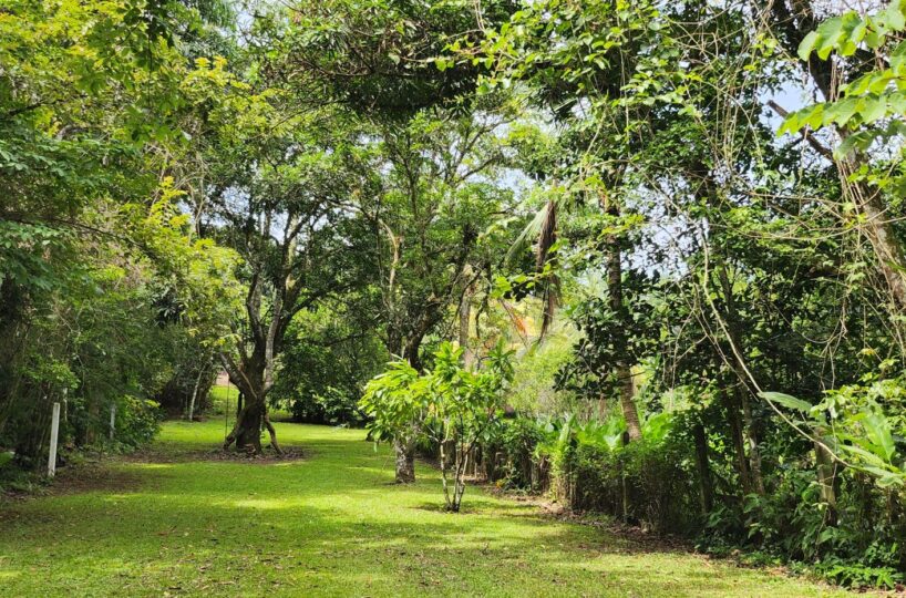 Homes for sale in Atenas Costa Rica