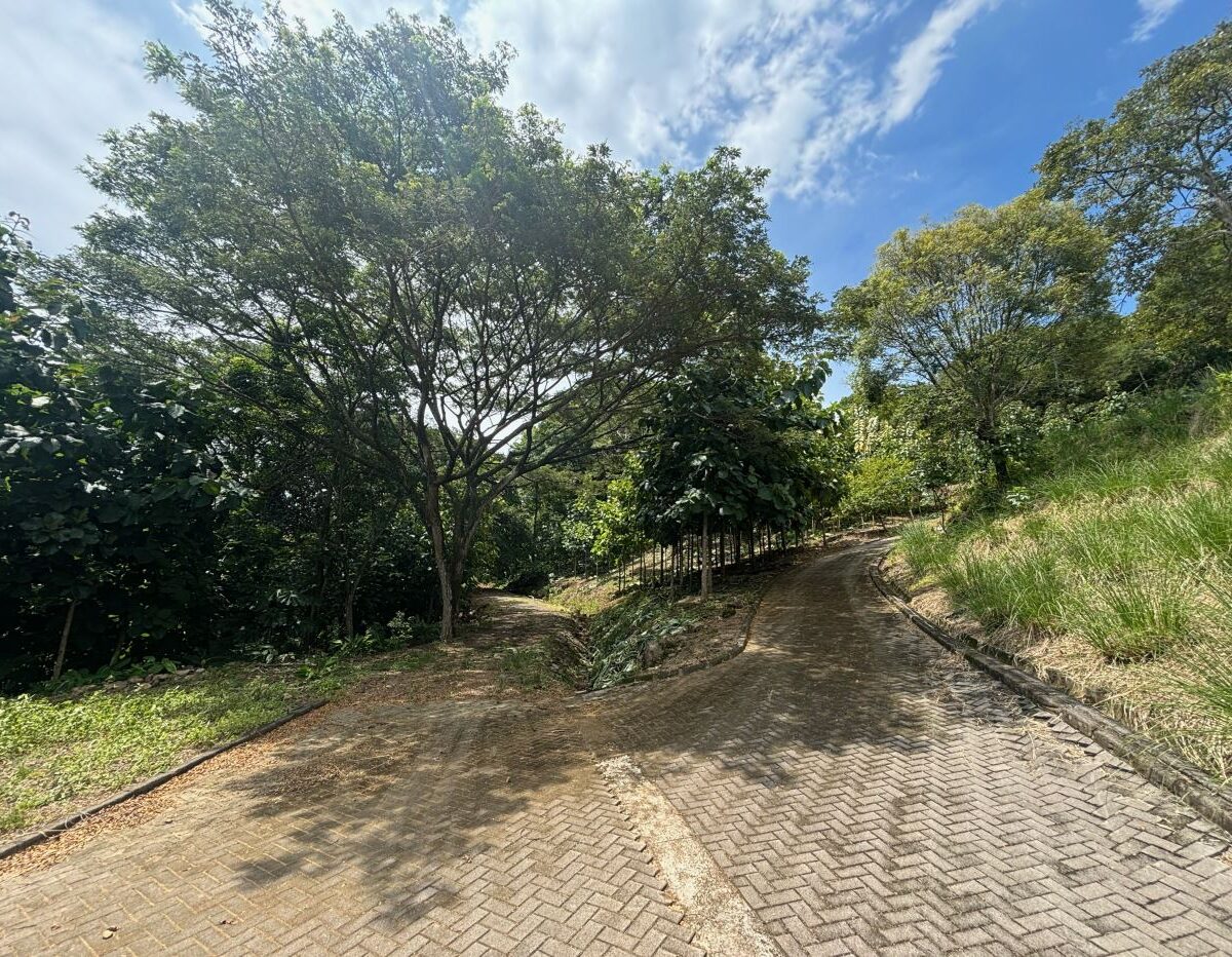 Building Lots for sale in Atenas Costa Rica