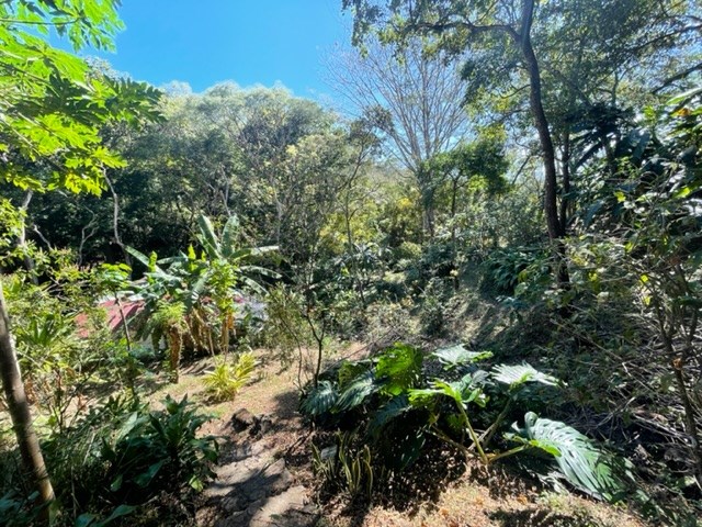 Homes for sale in Atenas Costa Rica