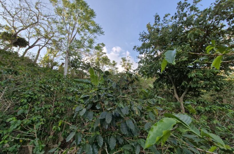 Building Lots for sale in Atenas Costa Rica