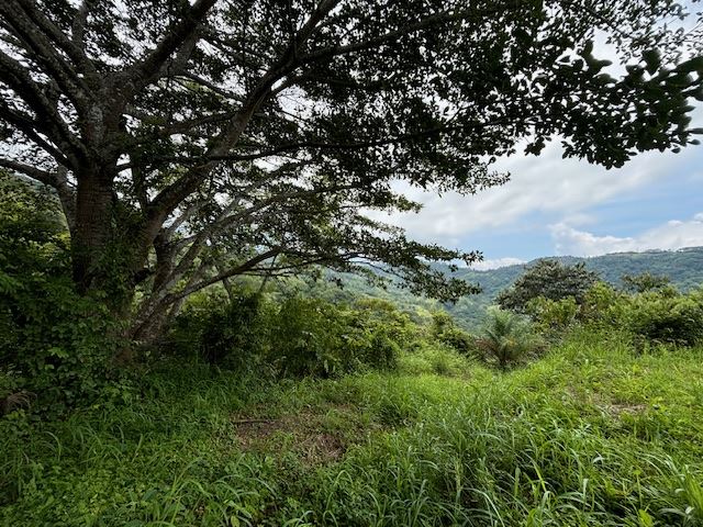 Homes for sale in Atenas Costa Rica