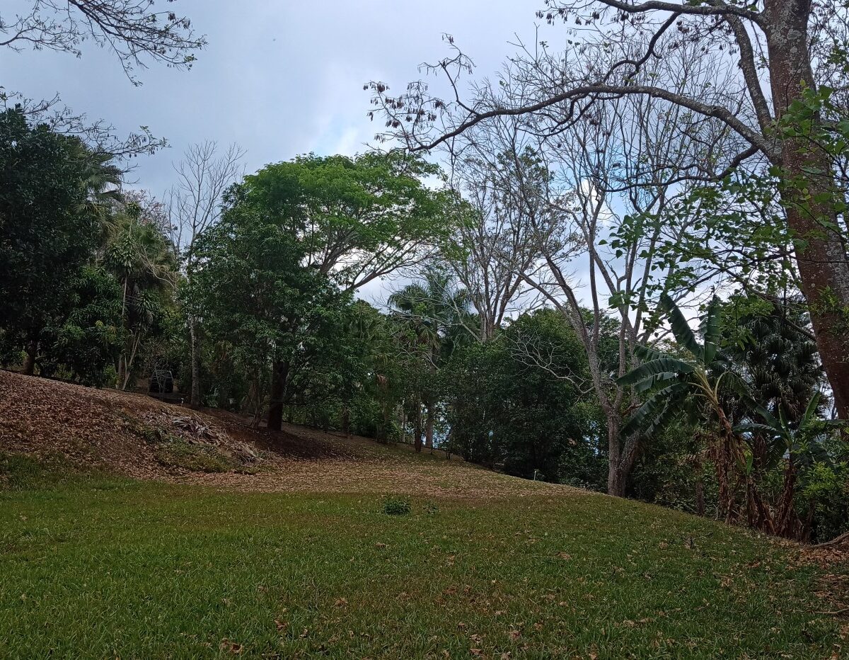 Building Lots for sale in Atenas Costa Rica