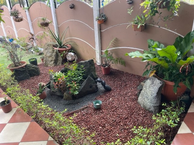 Homes for sale in Atenas Costa Rica