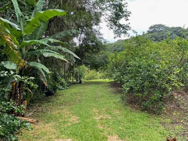 Building Lots for sale in Atenas Costa Rica