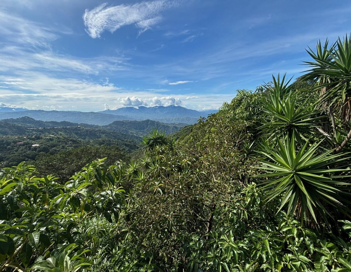 Commercial for sale in Atenas Costa Rica