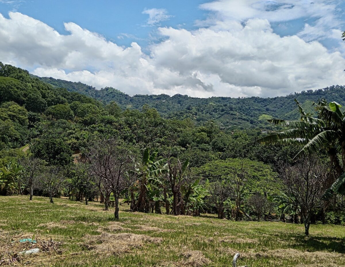 Building Lots for sale in Atenas Costa Rica