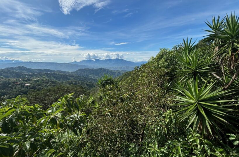 Commercial for sale in Atenas Costa Rica