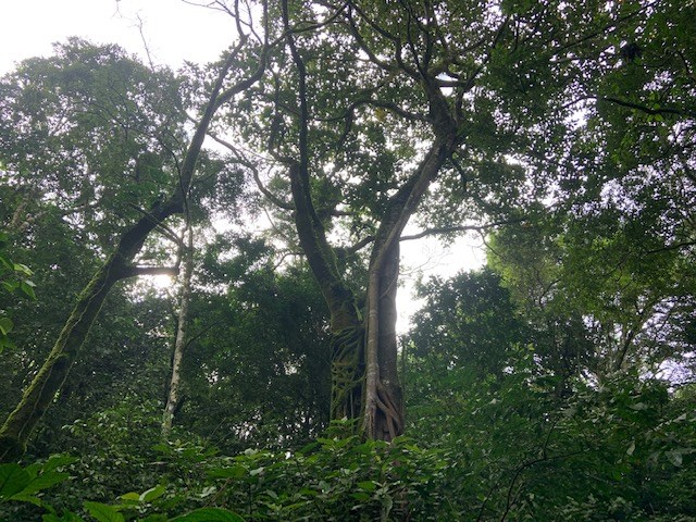 Building Lots for sale in Atenas Costa Rica