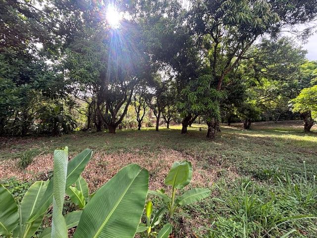 Building Lots for sale in Atenas Costa Rica