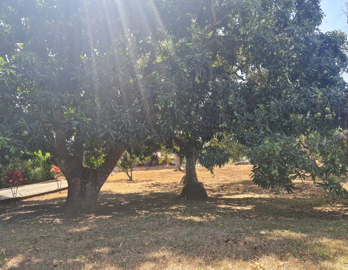 Homes for sale in Atenas Costa Rica