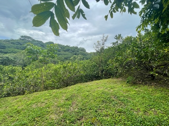 Building Lots for sale in Atenas Costa Rica
