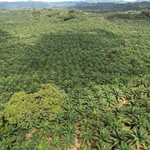 Development LandFarms and Ranches for sale in Parrita Costa Rica