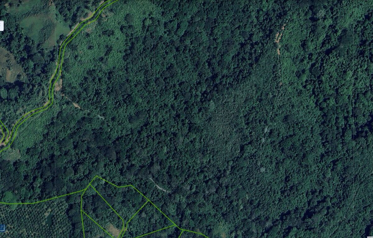 Farms and Ranches for sale in Parrita Costa Rica