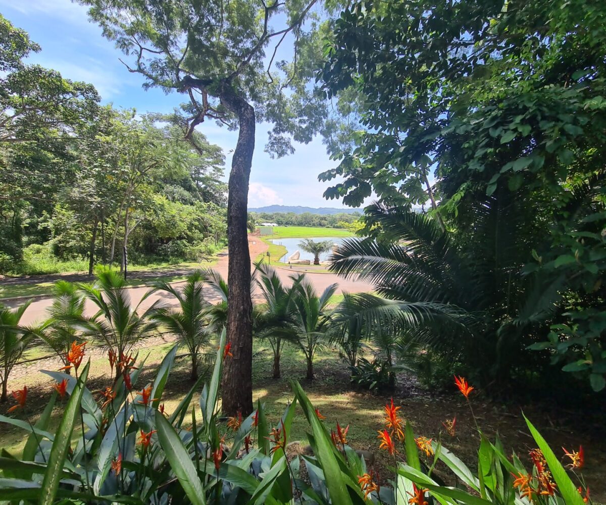 Condos for sale in Hermosa Beach Costa Rica