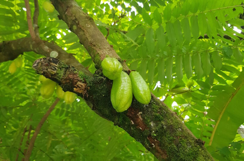 Hotel - B&B for sale in Bejuco Costa Rica