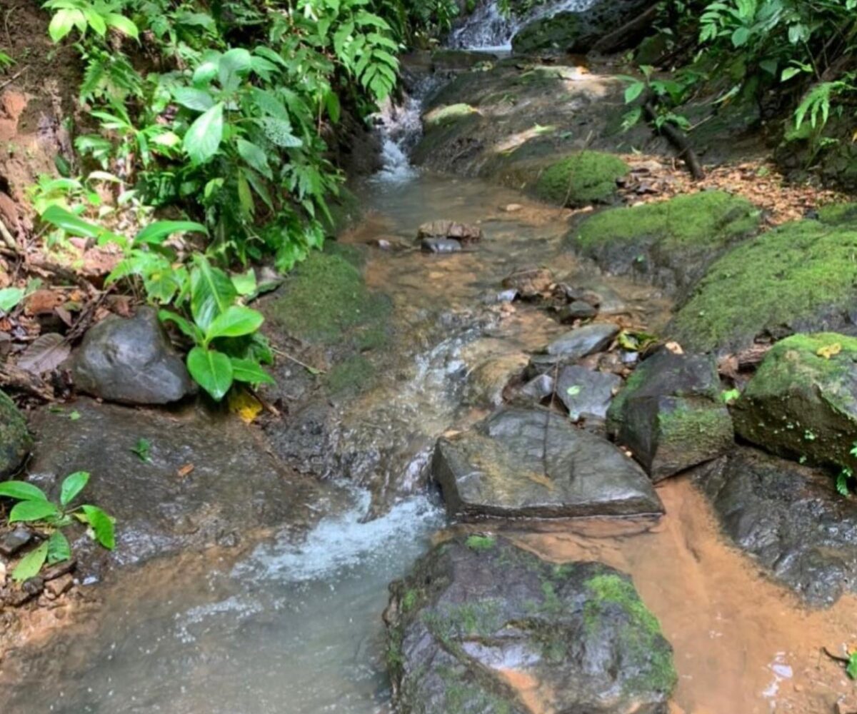 Farms and Ranches for sale in Bijagual Costa Rica