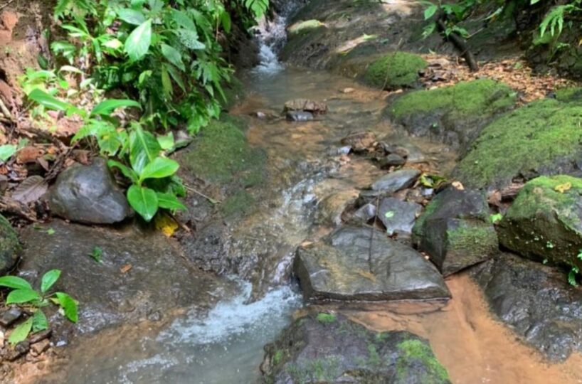 Farms and Ranches for sale in Bijagual Costa Rica