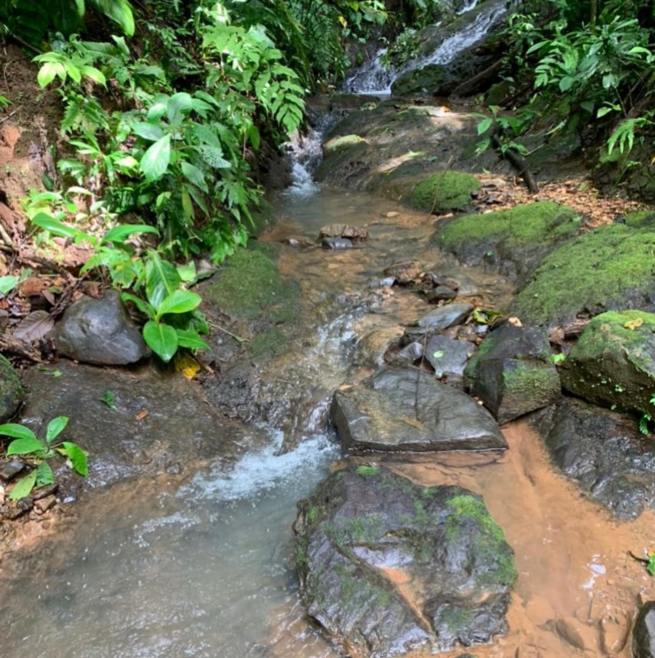 Farms and Ranches for sale in Bijagual Costa Rica