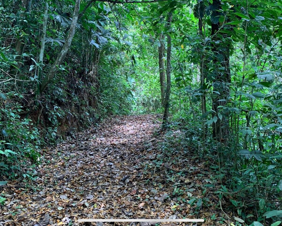 Farms and Ranches for sale in Bijagual Costa Rica