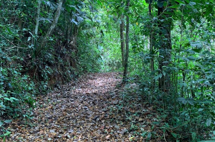 Farms and Ranches for sale in Bijagual Costa Rica