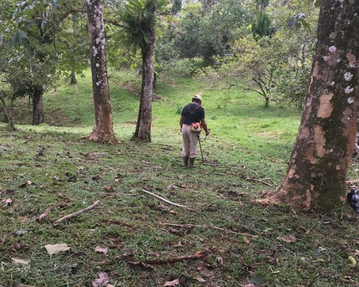 Farms and Ranches for sale in Bijagual Costa Rica