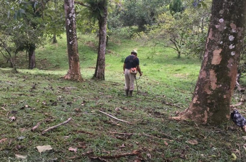 Farms and Ranches for sale in Bijagual Costa Rica