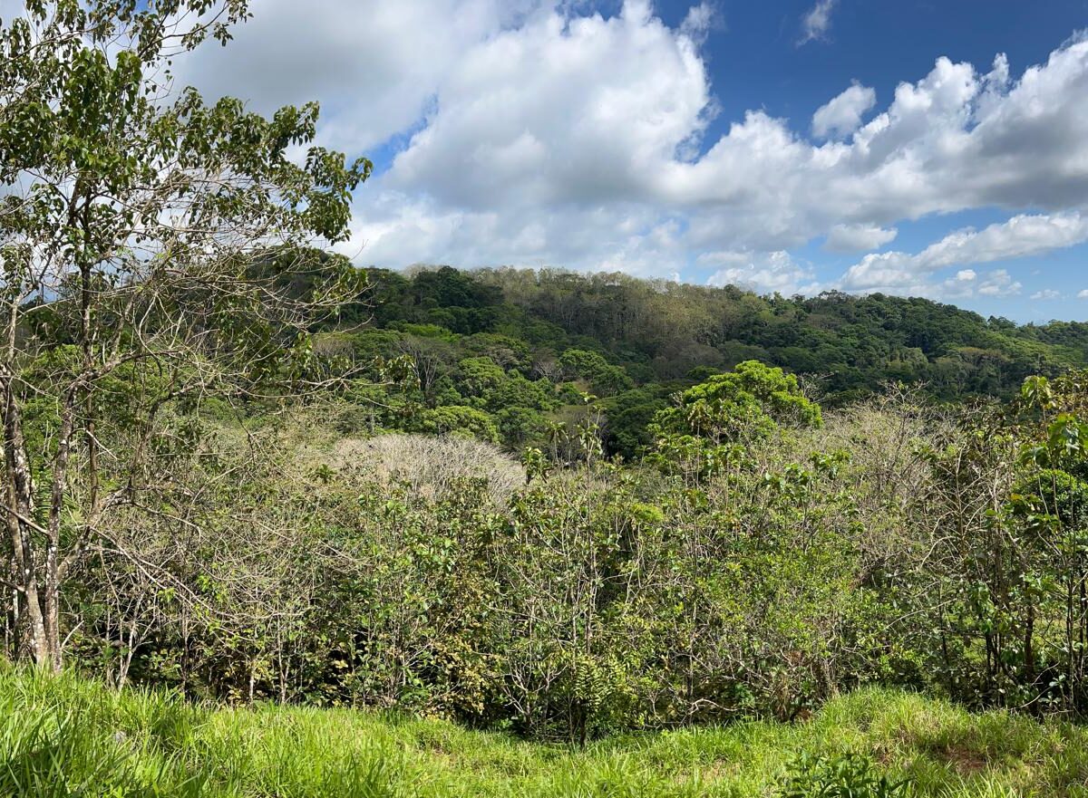 Farms and Ranches for sale in Bijagual Costa Rica