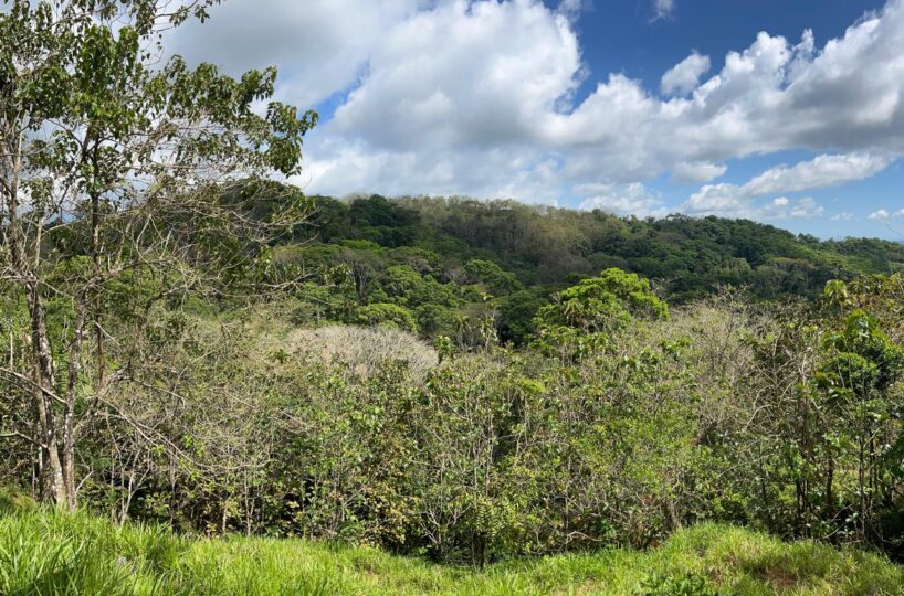 Farms and Ranches for sale in Bijagual Costa Rica