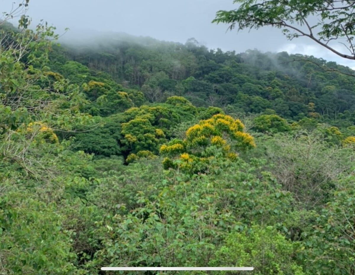 Farms and Ranches for sale in Bijagual Costa Rica