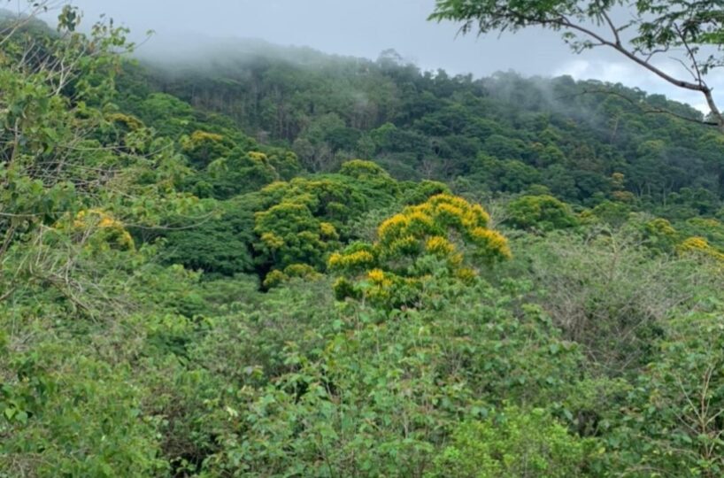 Farms and Ranches for sale in Bijagual Costa Rica
