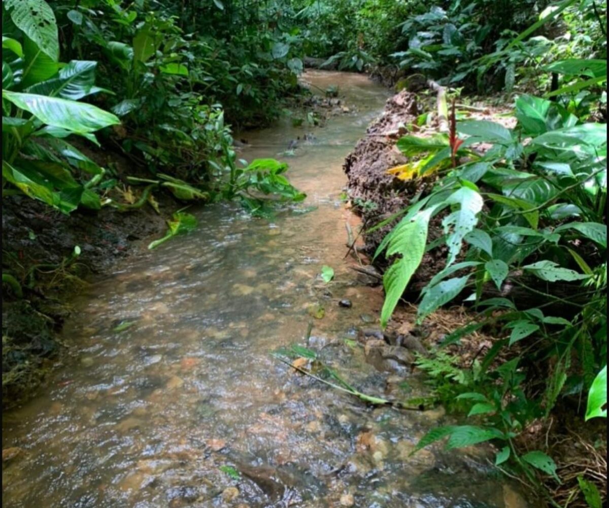 Farms and Ranches for sale in Bijagual Costa Rica