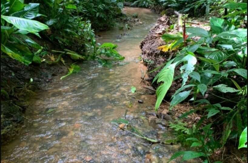 Farms and Ranches for sale in Bijagual Costa Rica