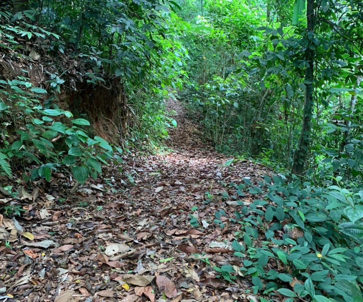 Farms and Ranches for sale in Bijagual Costa Rica