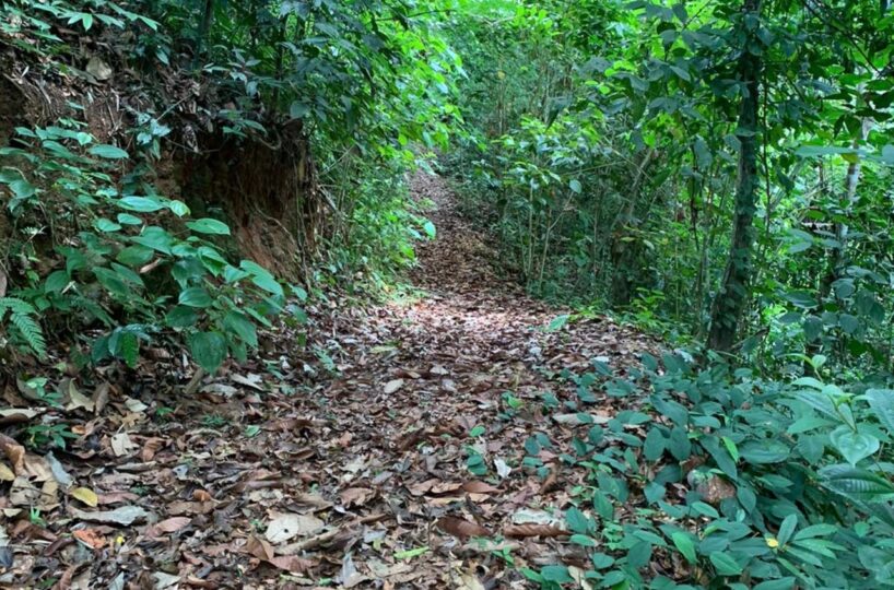 Farms and Ranches for sale in Bijagual Costa Rica