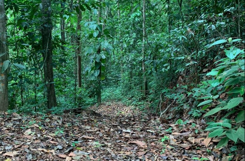 Farms and Ranches for sale in Bijagual Costa Rica